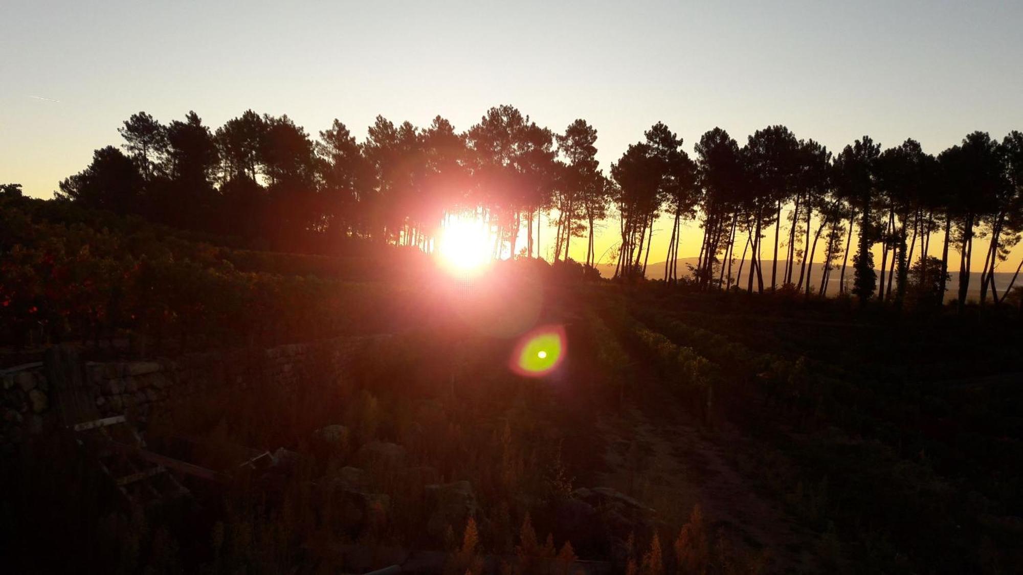 Domaine Des Hauts De Vernon Vernon  Ngoại thất bức ảnh