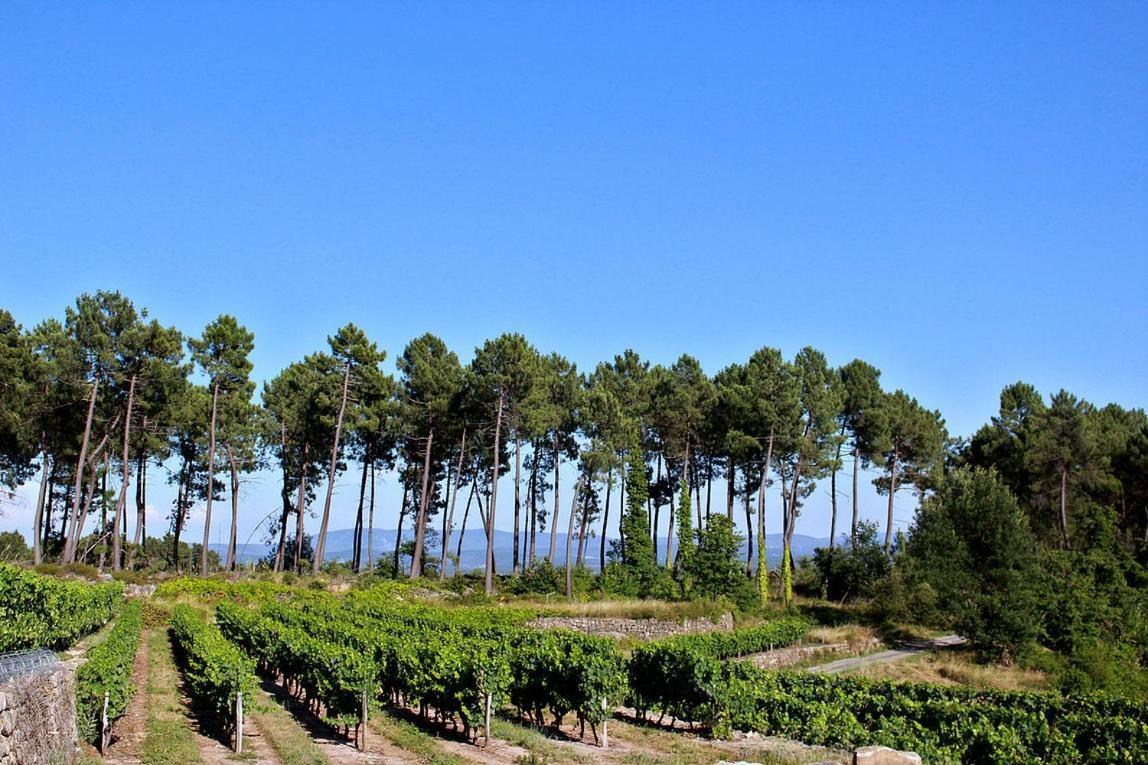 Domaine Des Hauts De Vernon Vernon  Ngoại thất bức ảnh